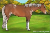 Horse Color:White Spotted Silver Bay 