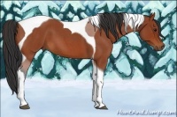 Horse Color:Bay Roan Tobiano