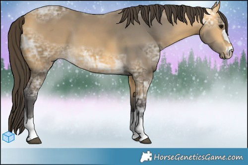 Horse Color:Buckskin Ice  Brindle