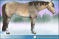 Horse Color:Buckskin Ice  Brindle