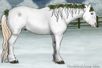Horse Color:Chestnut Appaloosa