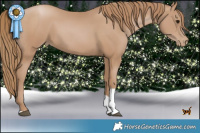 Horse Color:Black Pearl Tobiano
