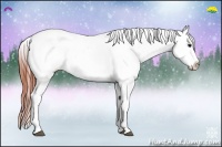 Horse Color:Bay Dun Sabino Near Fewspot