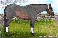 Horse Color:Brown Roan Rabicano  Brindle