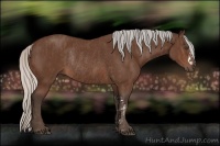 Horse Color:Silver Brown Rabicano  Brindle
