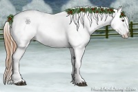 Horse Color:Chestnut Appaloosa