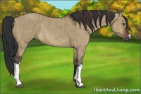 Horse Color:Brown Dun Rabicano Brindle
