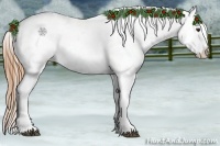 Horse Color:Red Roan Appaloosa 