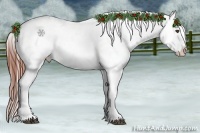 Horse Color:Brown Splash Appaloosa 