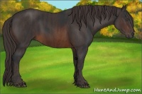 Horse Color:Brown Rabicano Brindle