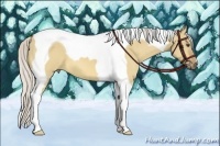 Horse Color:Silver Buckskin Dun Tobiano