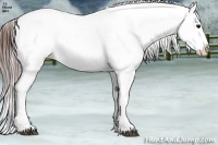 Horse Color:Bay Ice Dun Splash Appaloosa Rabicano