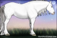 Horse Color:Brown Ice Appaloosa Rabicano 