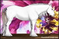 Horse Color:Buckskin Ice Splash Appaloosa Rabicano 