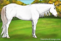 Horse Color:Buckskin Ice Pearl Splash Varnish