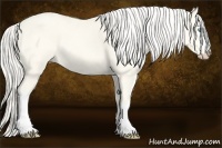 Horse Color:Cremello Dun 