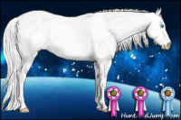 Horse Color:Cremello Dun 