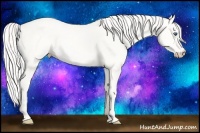 Horse Color:Cremello Dun 