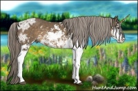 Horse Color:Chocolate Palomino Ice Sabino 