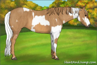 Horse Color:Gray White Spotted Blue Roan  Brindle