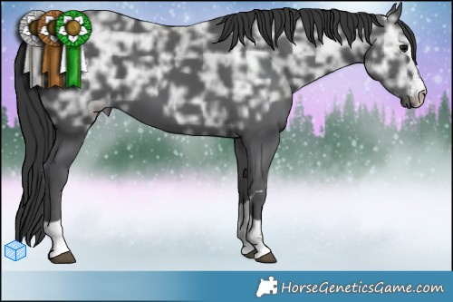 Horse Color:Black Ice Brindle