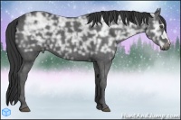Horse Color:Black Ice Brindle