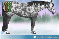 Horse Color:Black Ice  Brindle