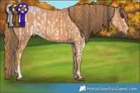 Horse Color:White Spotted Black  Brindle