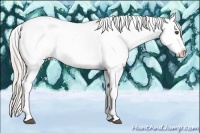 Horse Color:White Spotted Silver Bay Sabino Appaloosa