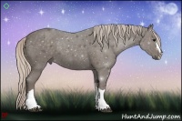 Horse Color:Silver Black 
