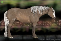 Horse Color:Silver Buckskin