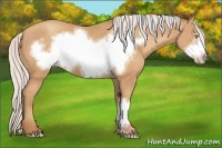 Horse Color:Silver Amber Champagne Frame