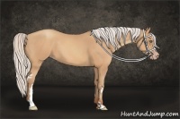 Horse Color:Silver Amber Champagne Frame 