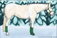Horse Color:Perlino Dun Tobiano 