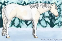 Horse Color:Perlino Dun Tobiano 