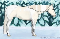 Horse Color:Perlino Dun Tobiano