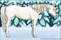 Horse Color:Perlino Dun Tobiano 