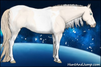 Horse Color:Perlino Dun Tobiano