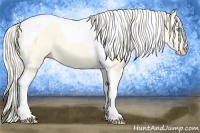 Horse Color:Cremello Dun Tobiano