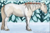 Horse Color:Smoky Creme Dun Tobiano 