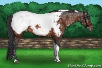 Horse Color:Bay Ice Tobiano Appaloosa Rabicano 