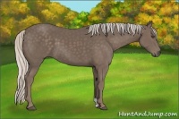 Horse Color:Silver Black 