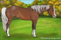 Horse Color:White Spotted Silver Bay Splash 