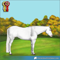 Horse Color:White Spotted Silver Bay Splash Frame Appaloosa 