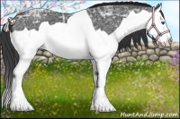 Horse Color:Black Ice Splash 