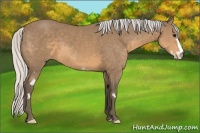 Horse Color:Silver Buckskin Sabino Frame