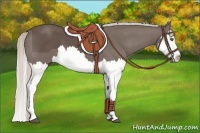 Horse Color:Silver Black Splash