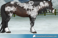 Horse Color:Brown Ice 