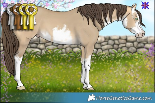 Horse Color:White Spotted Sable Cream Champagne Dun 