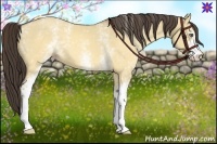 Horse Color:White Spotted Sable Cream Champagne Dun